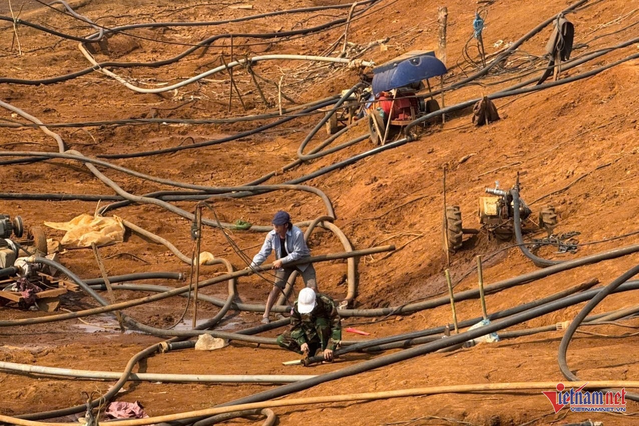 nong dan,  trong ca phe anh 3