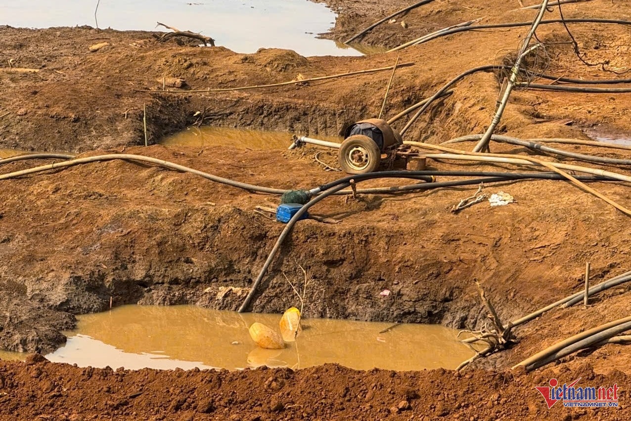 nong dan,  trong ca phe anh 4