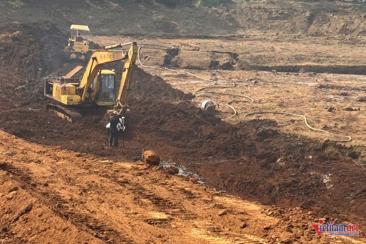 nong dan,  trong ca phe anh 6