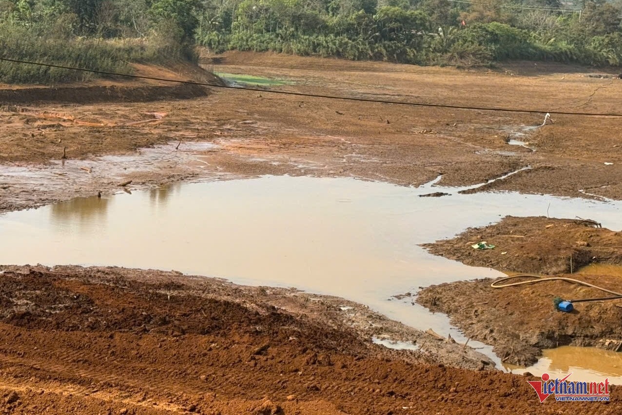 nong dan,  trong ca phe anh 5