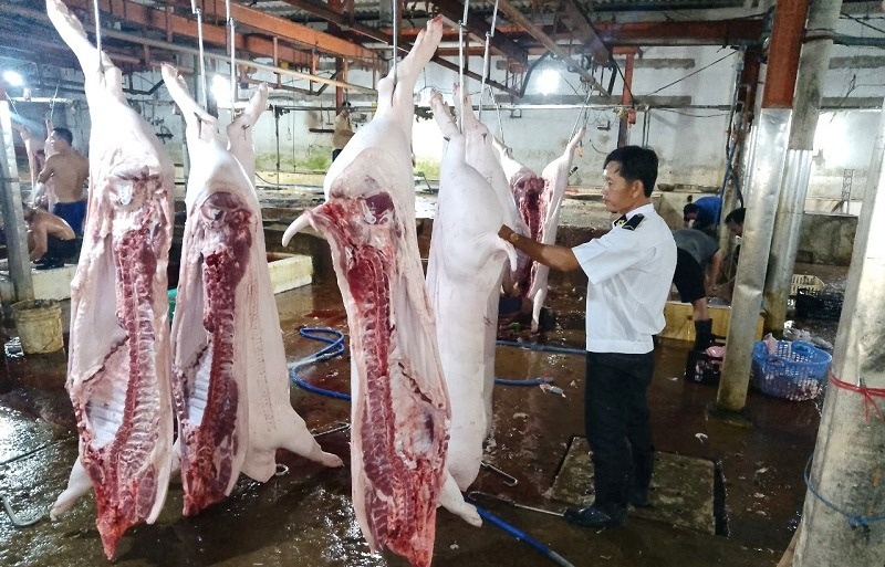 Lo sai pham kiem soat tai lo mo heo cho Cong ty C.P. Viet Nam hinh anh