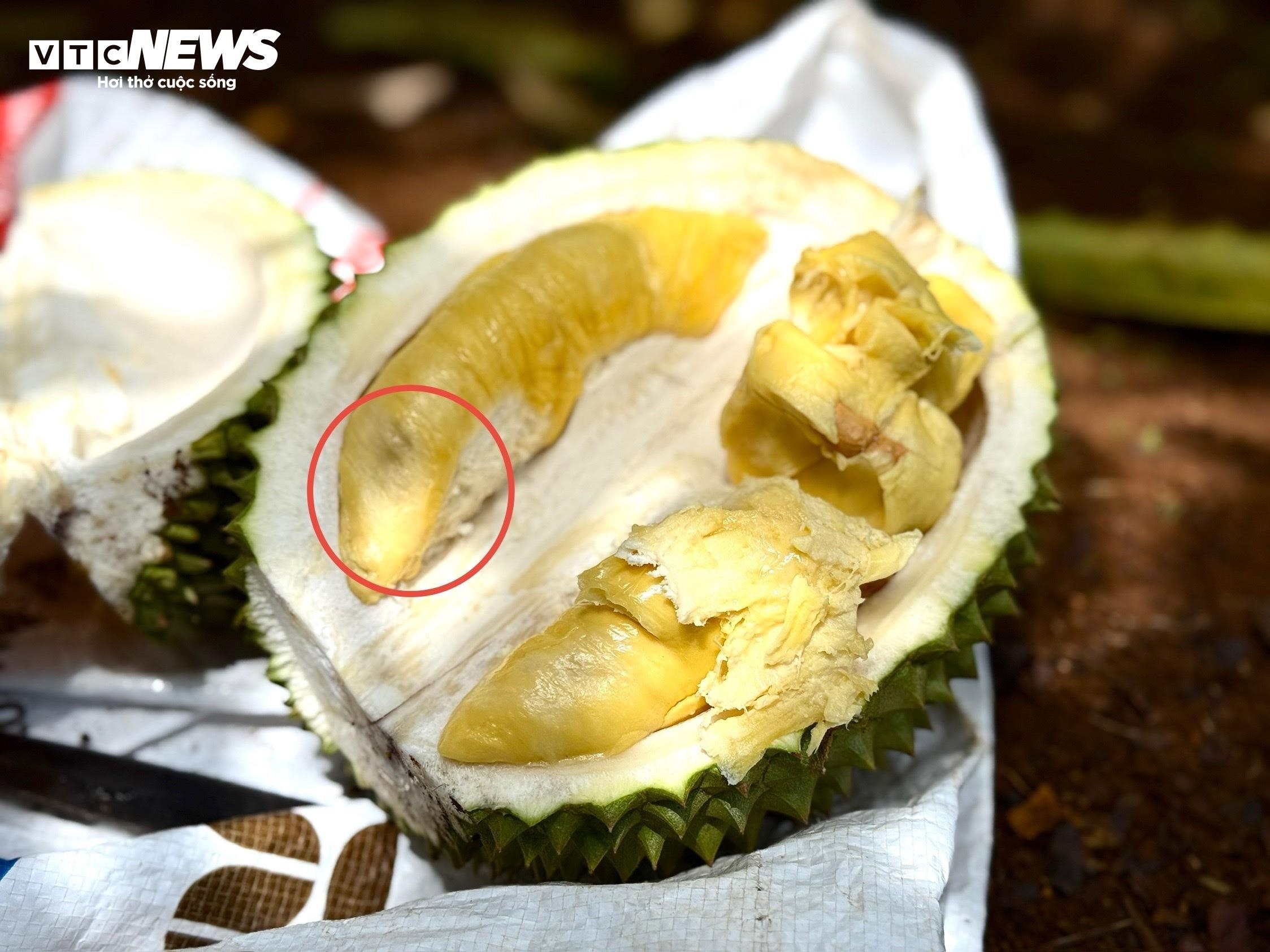 gia sau rieng,  musang king,  sau ri 6 anh 4
