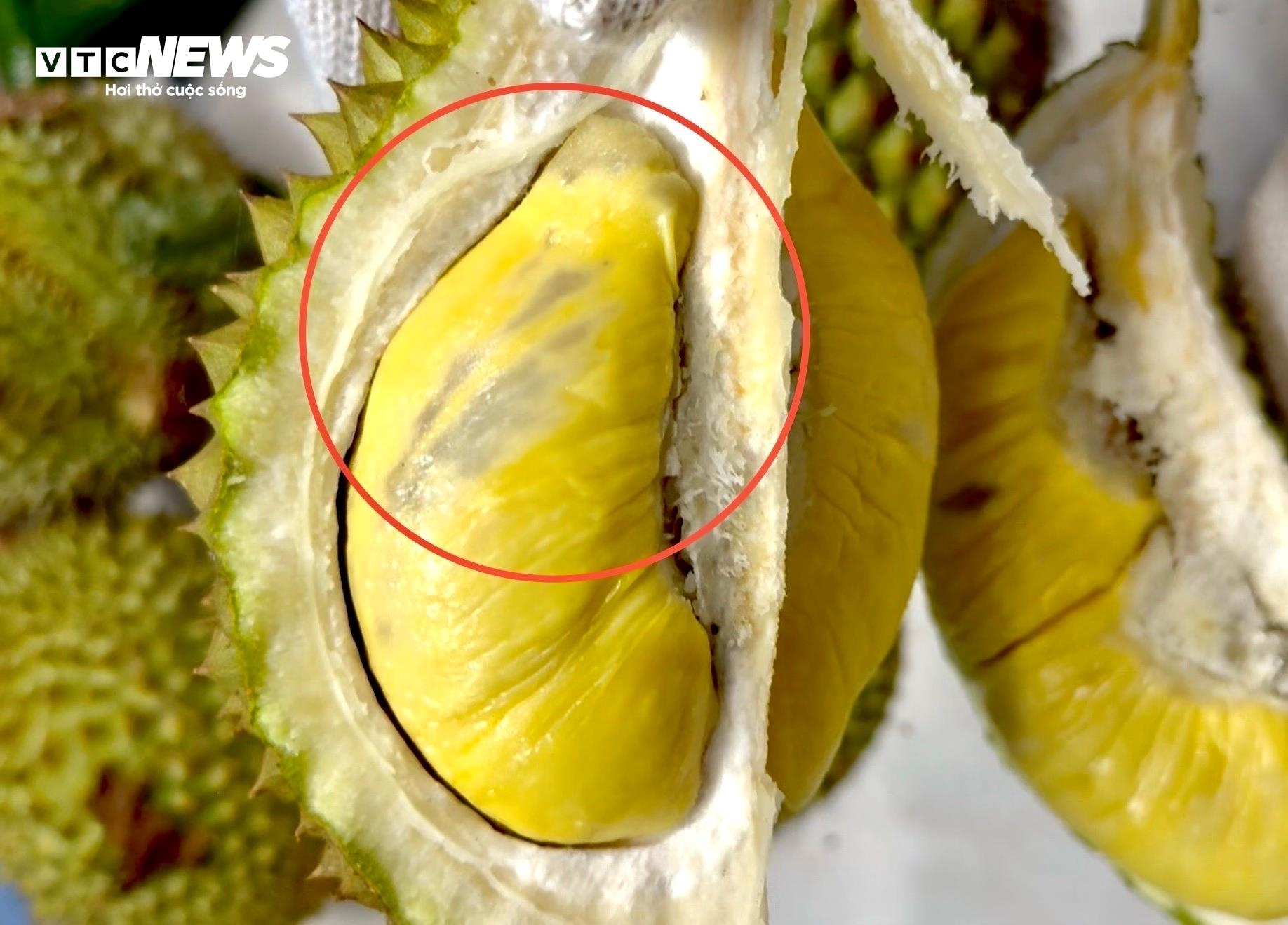gia sau rieng,  musang king,  sau ri 6 anh 5