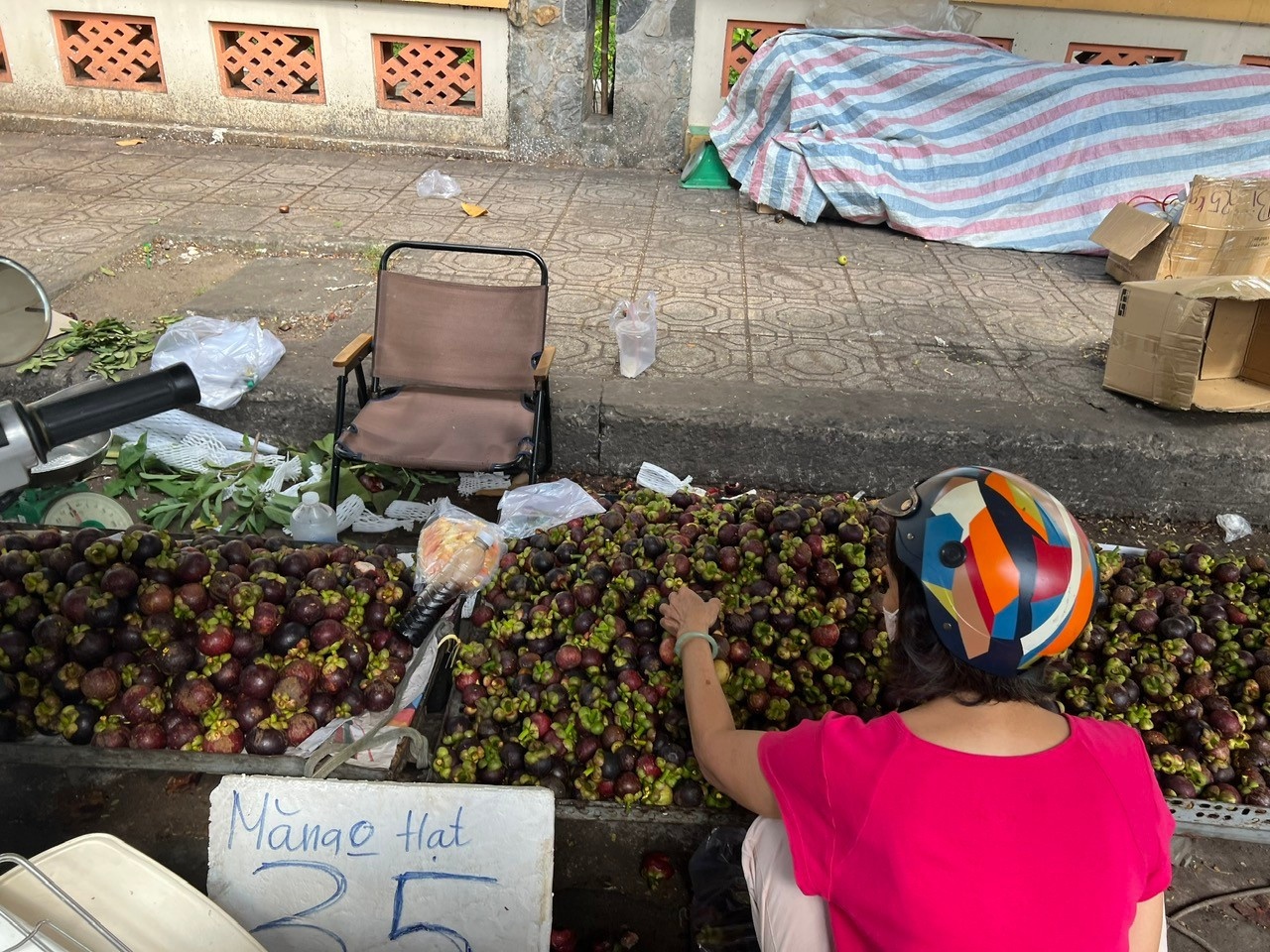 vải, sầu riêng, mận hà nội, chợ bà chiểu ảnh 11 vai, sau rieng, man ha noi, cho ba chieu anh 11