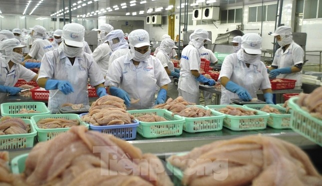 kinh te viet nam anh 2