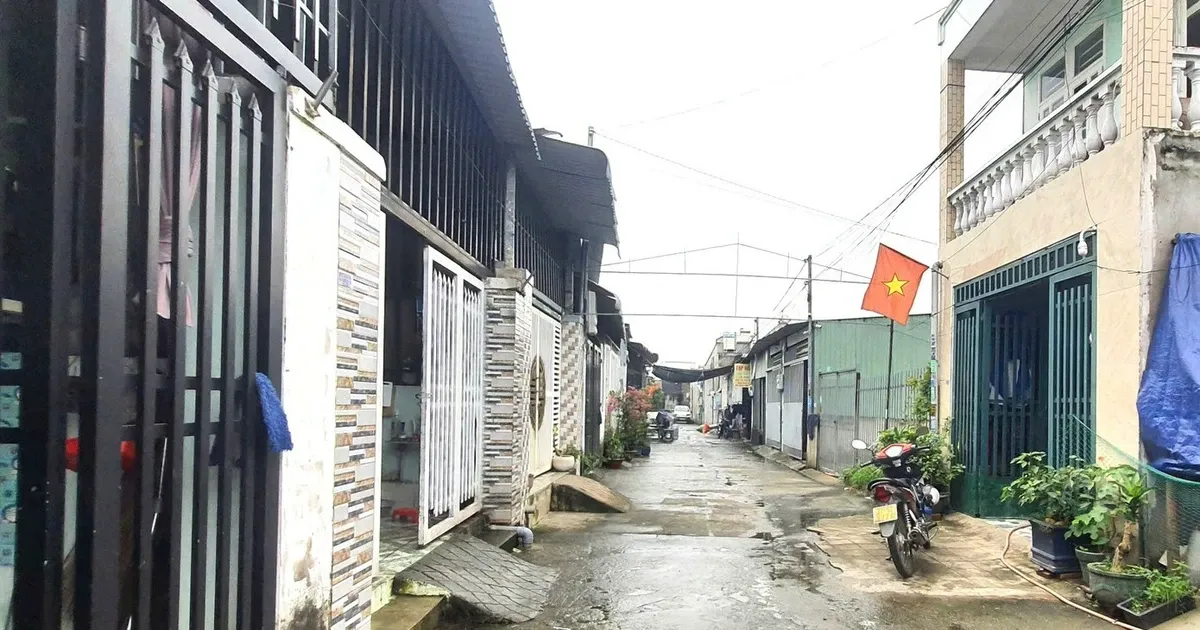 TP.HCM xu ly cong trinh xay dung khong phep theo quy dinh moi hinh anh