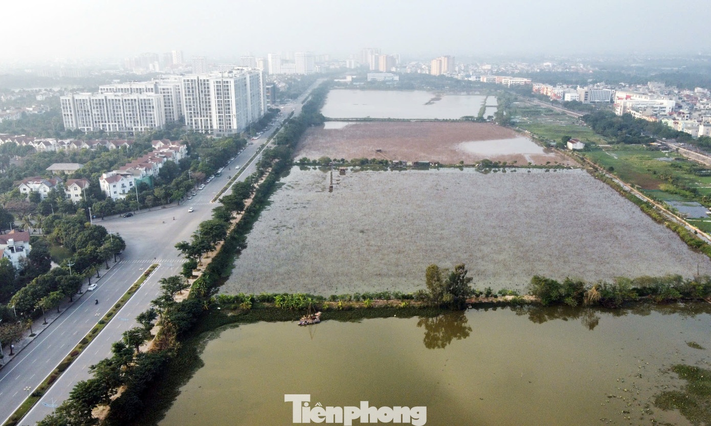 khu nha giau ha noi anh 6