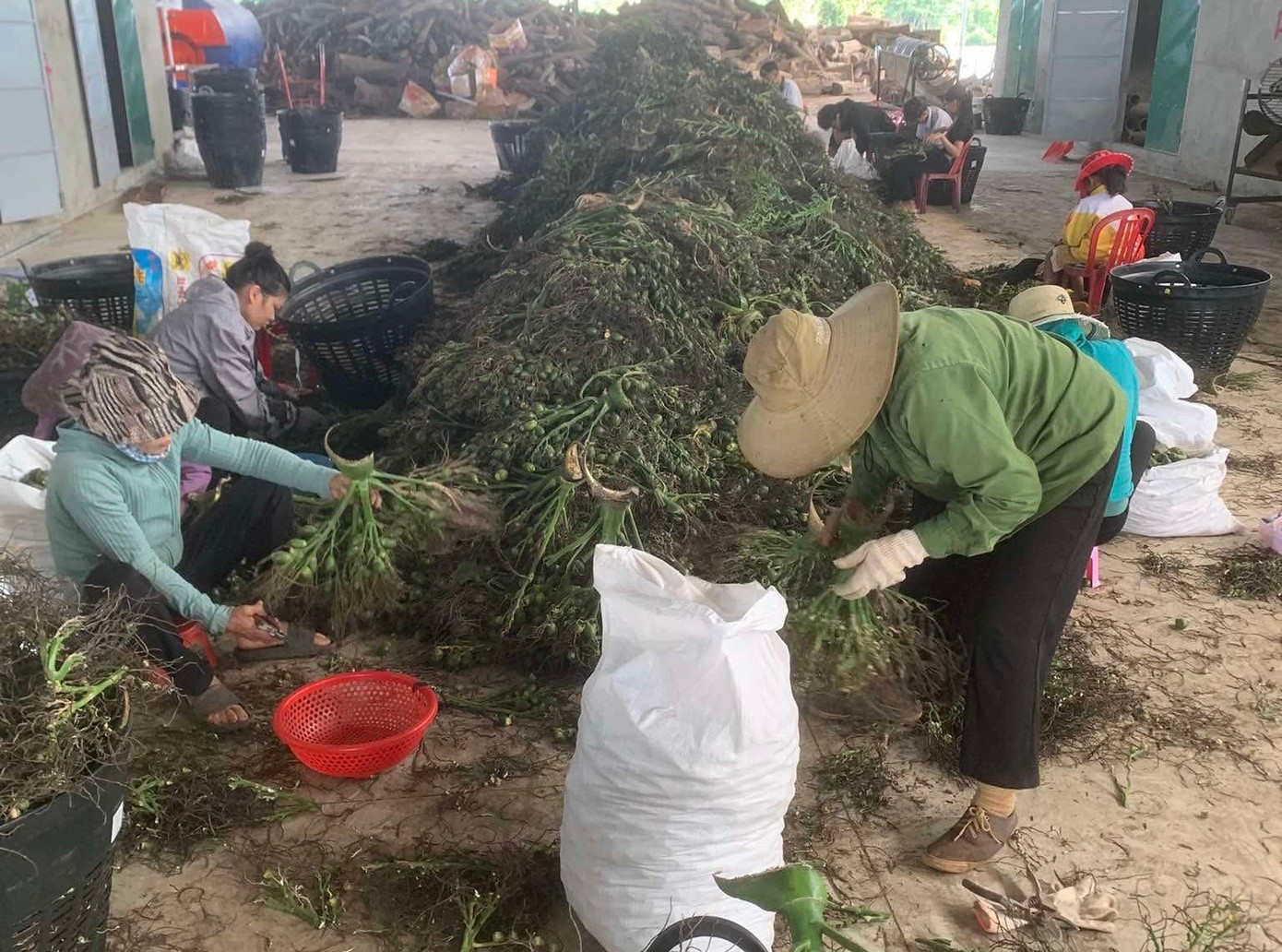 thuong lai trung quoc anh 1