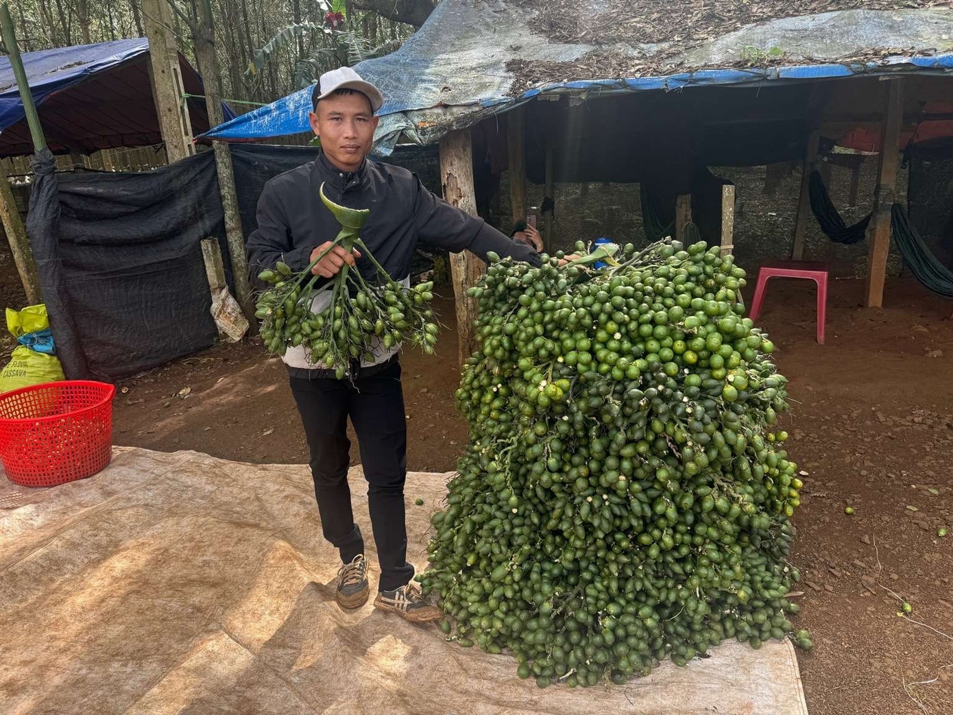 Dong thai cua thuong lai Trung Quoc khien gia cau tuoi lao doc hinh anh