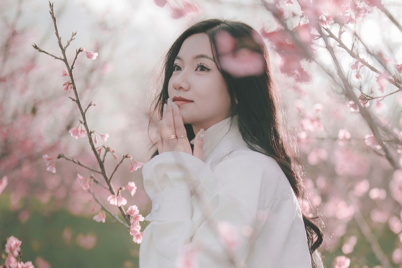 Noi ngam hoa anh dao 'tron on ao' dip Tet Duong lich o Dien Bien hinh anh