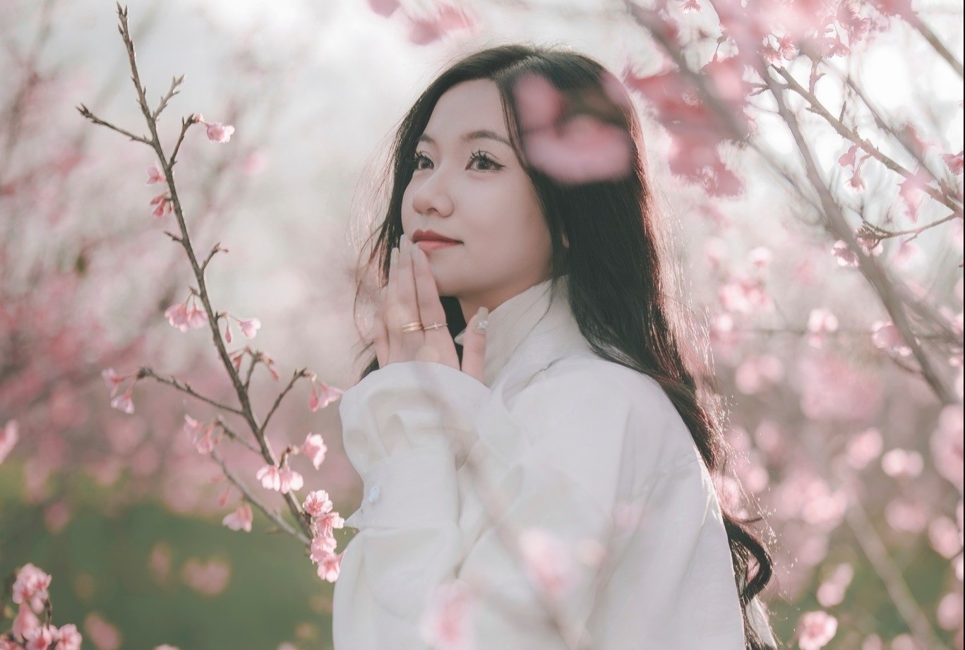 Noi ngam hoa anh dao 'tron on ao' dip Tet Duong lich o Dien Bien hinh anh