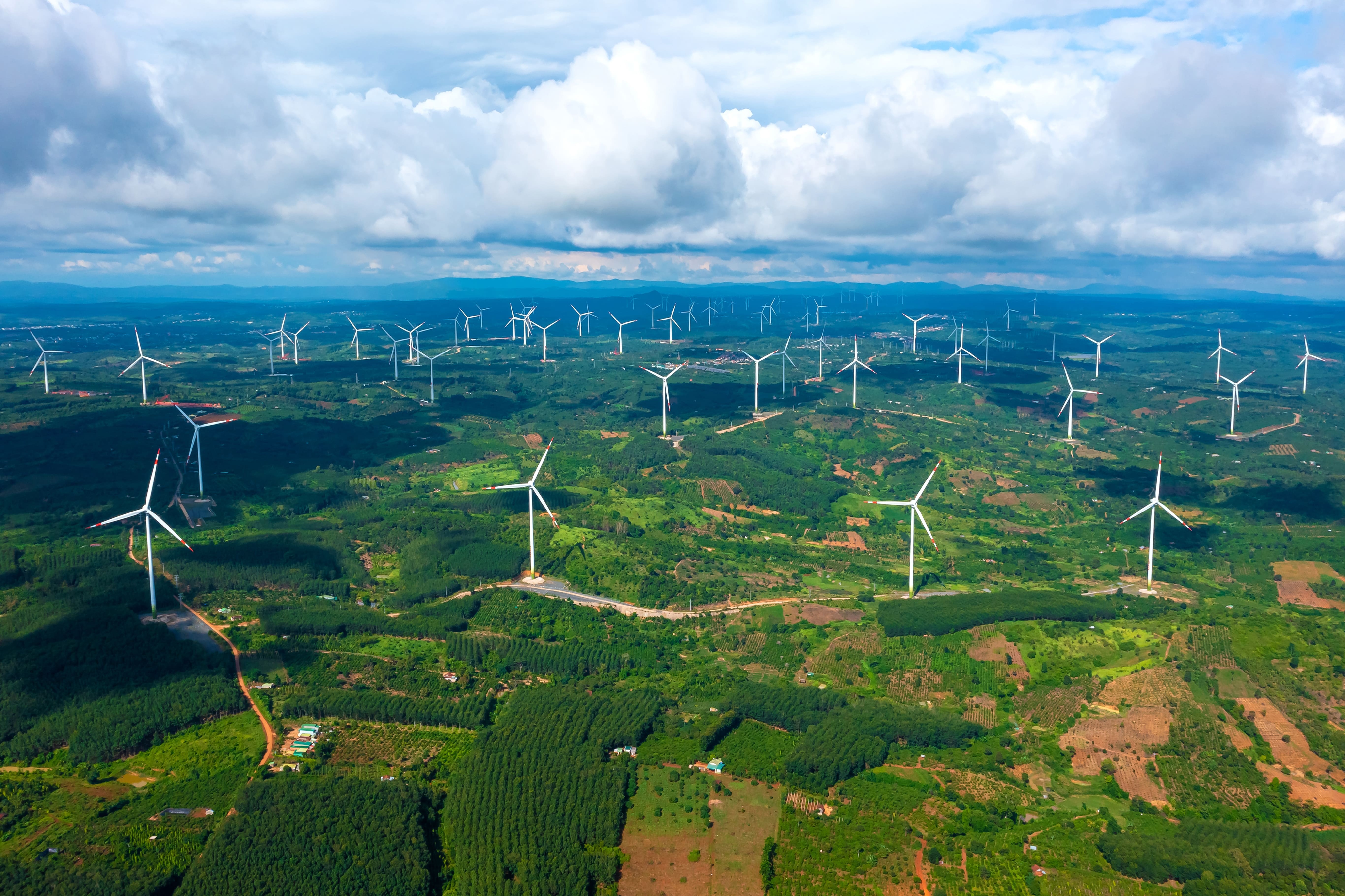 Trungnam Group anh 1