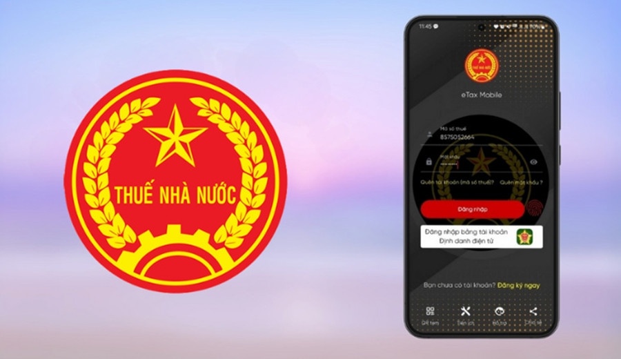 Cach tra cuu no thue nhanh chong, chinh xac hinh anh