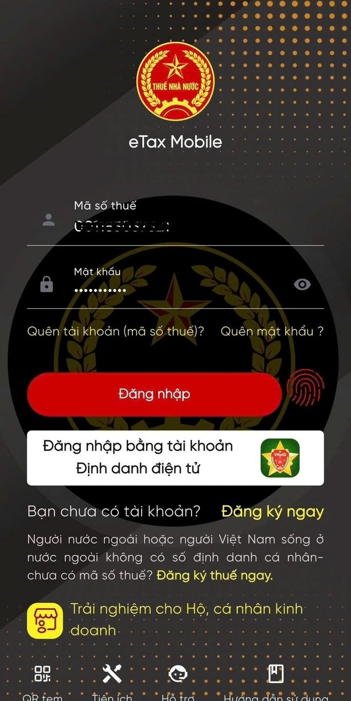 tra cuu no thue anh 2