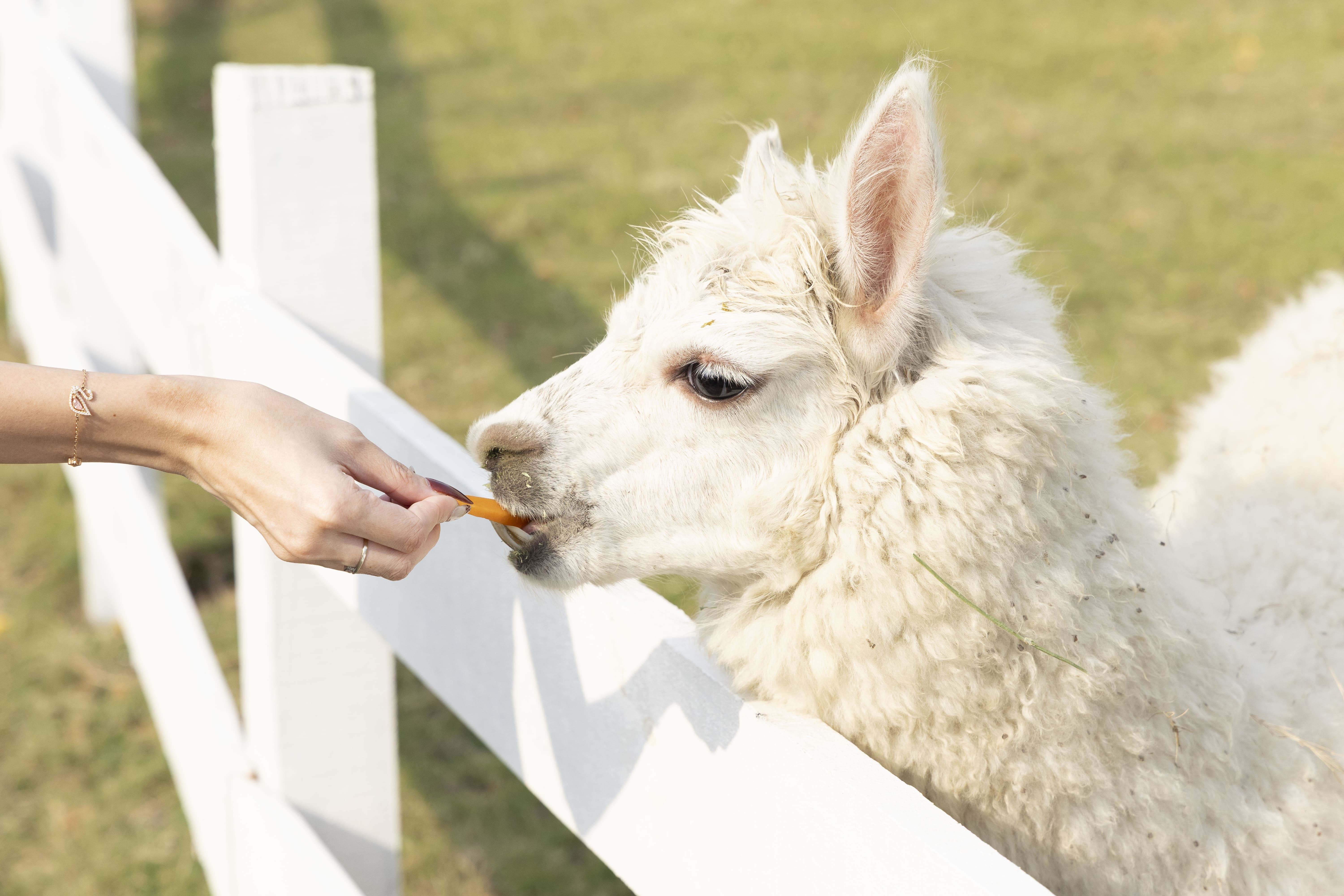 The Global City anh 4