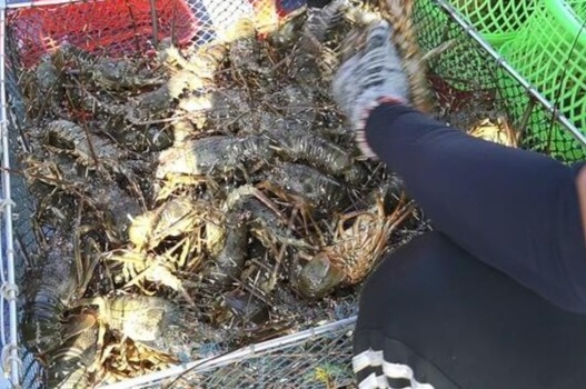 Hoi sinh ‘thu phu tom hum’ Vinh Xuan Dai tai Dak Lak sau lu du hinh anh