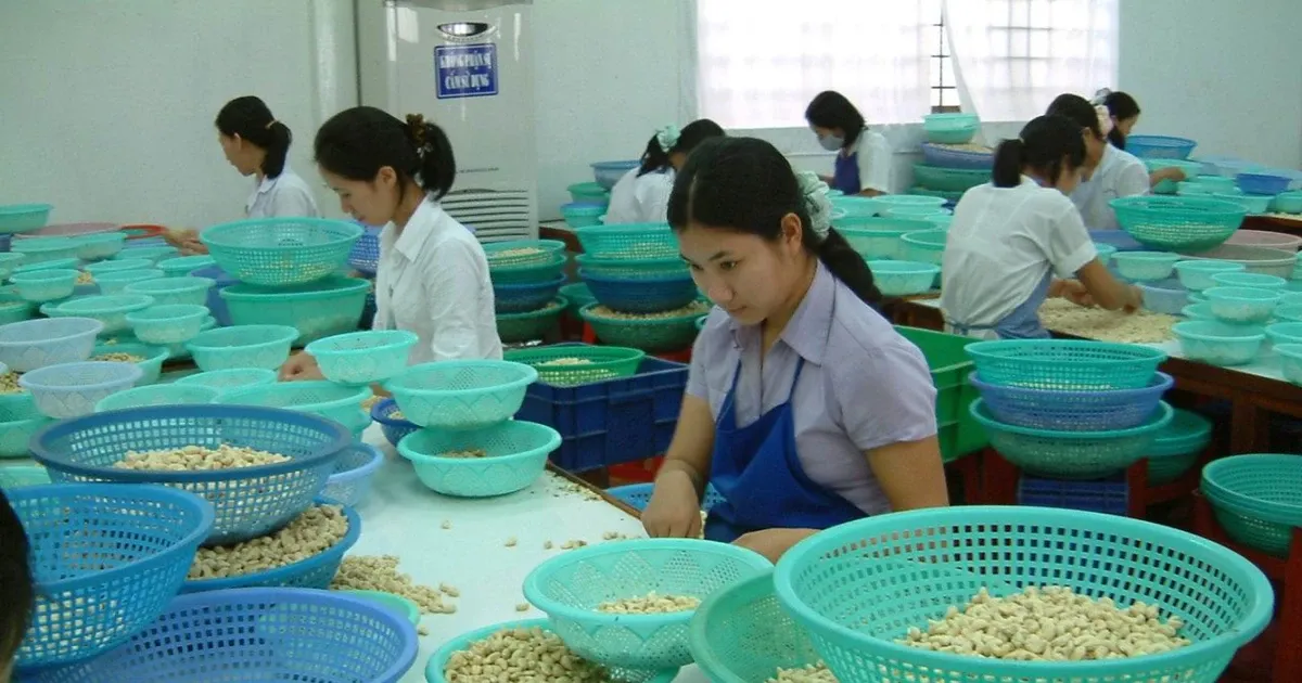 Doanh nghiep tim loi ra giua 'tu be tho dich' hinh anh