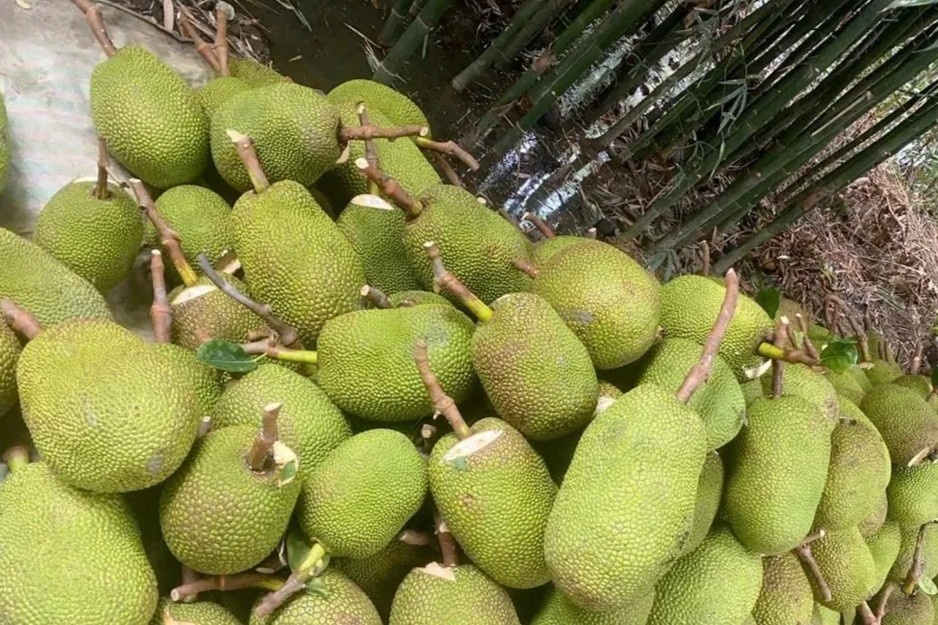 Tro tay khong kip vi gia mit 'len dinh, xuong day' hinh anh