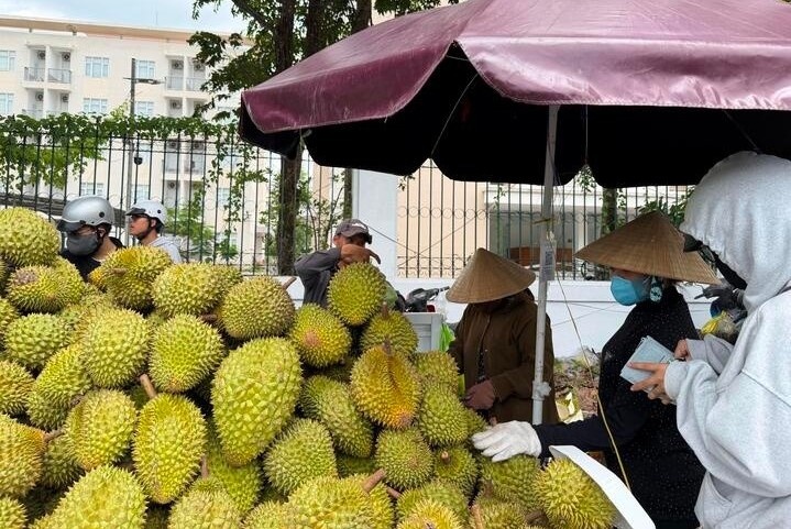 Gia sau rieng Ri6 bat tang tro lai hinh anh
