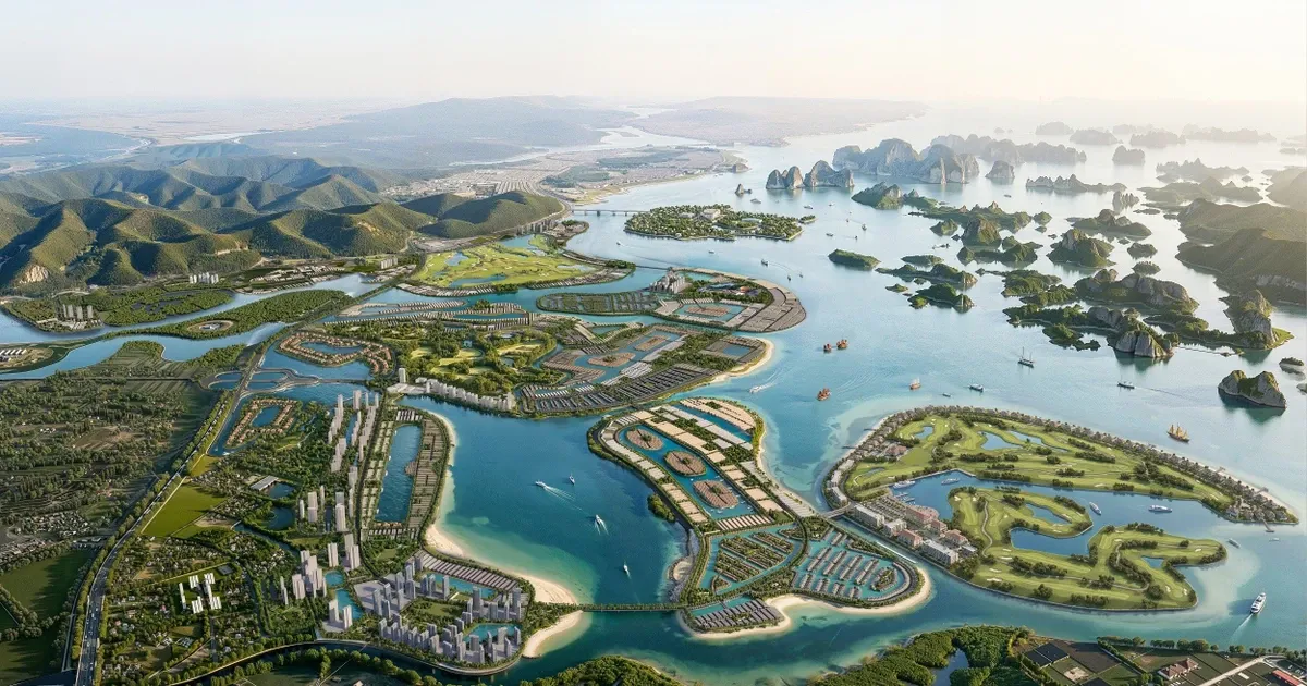 Gia dat Quang Ninh lap dinh hon 400 trieu dong/m2 hinh anh