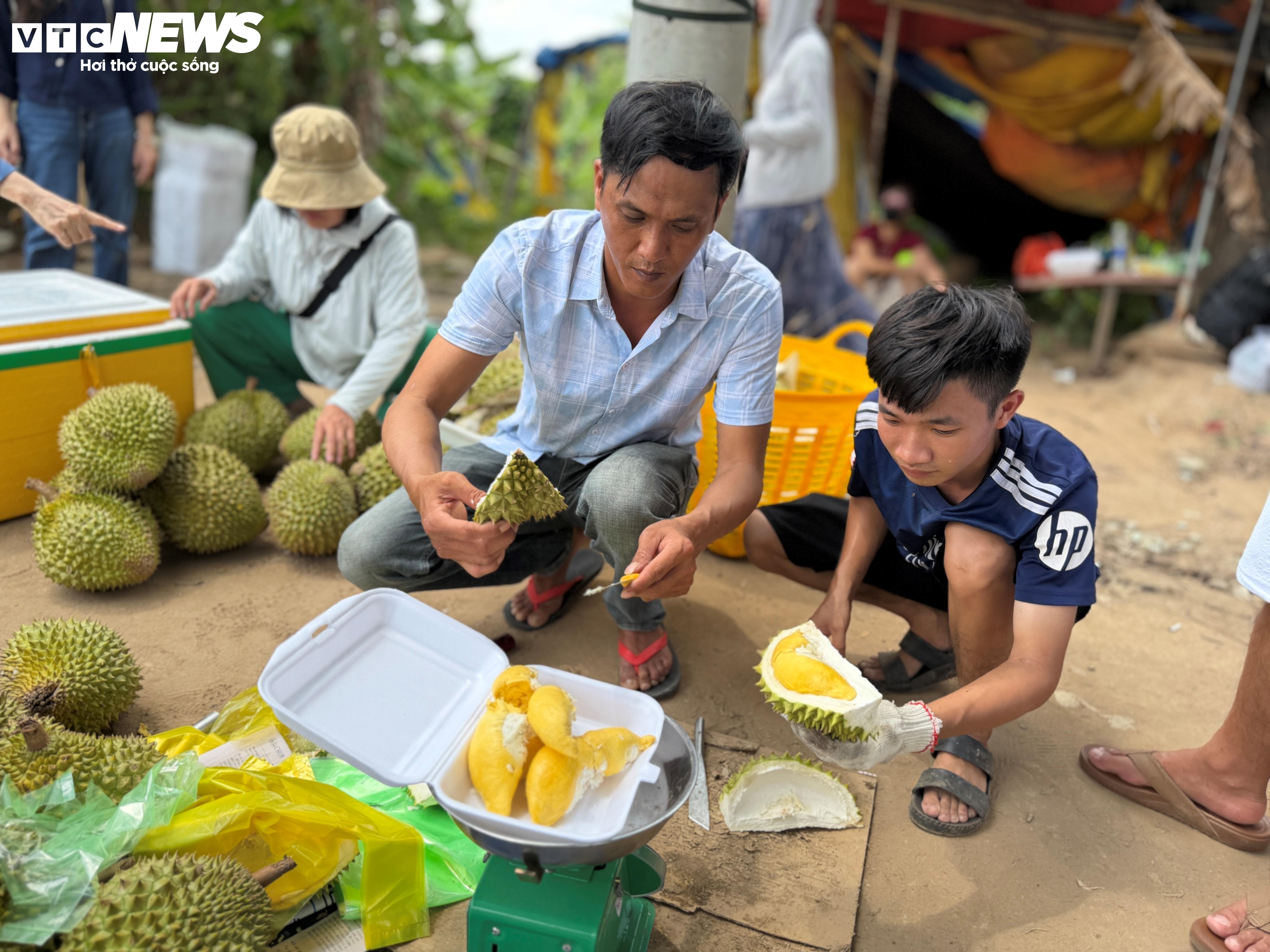 Sau rieng anh 16