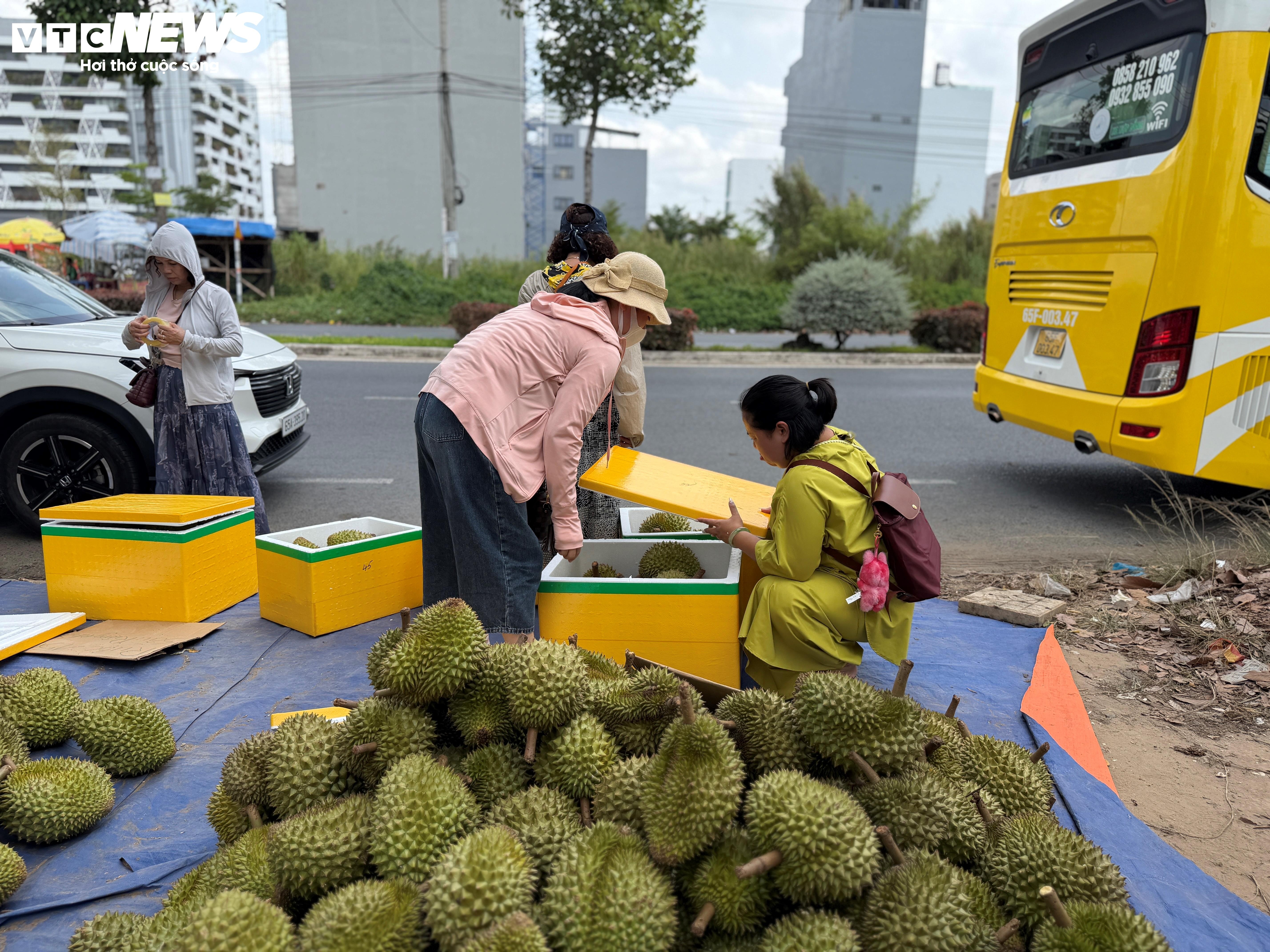 Sau rieng anh 13