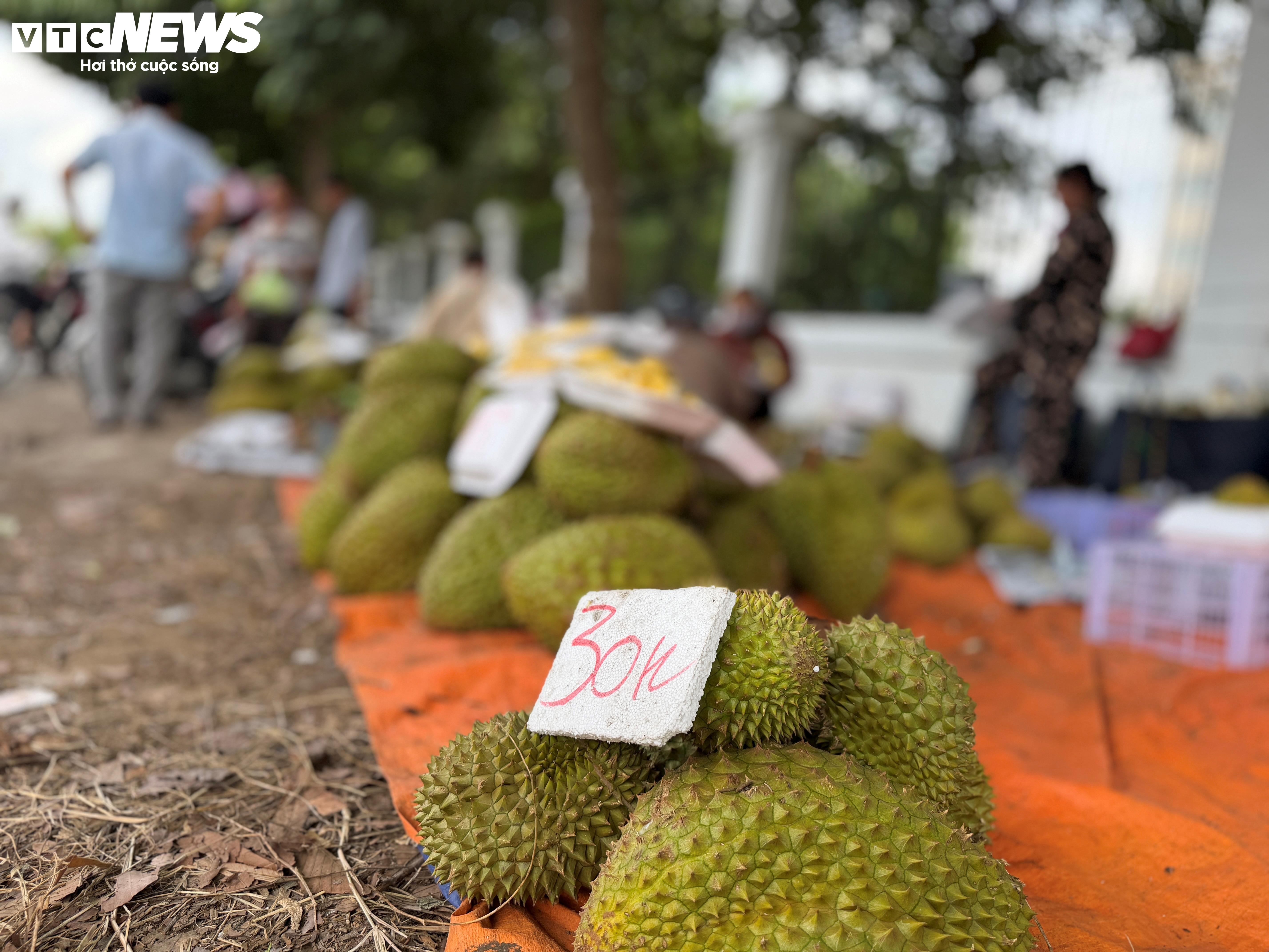 Sau rieng anh 4