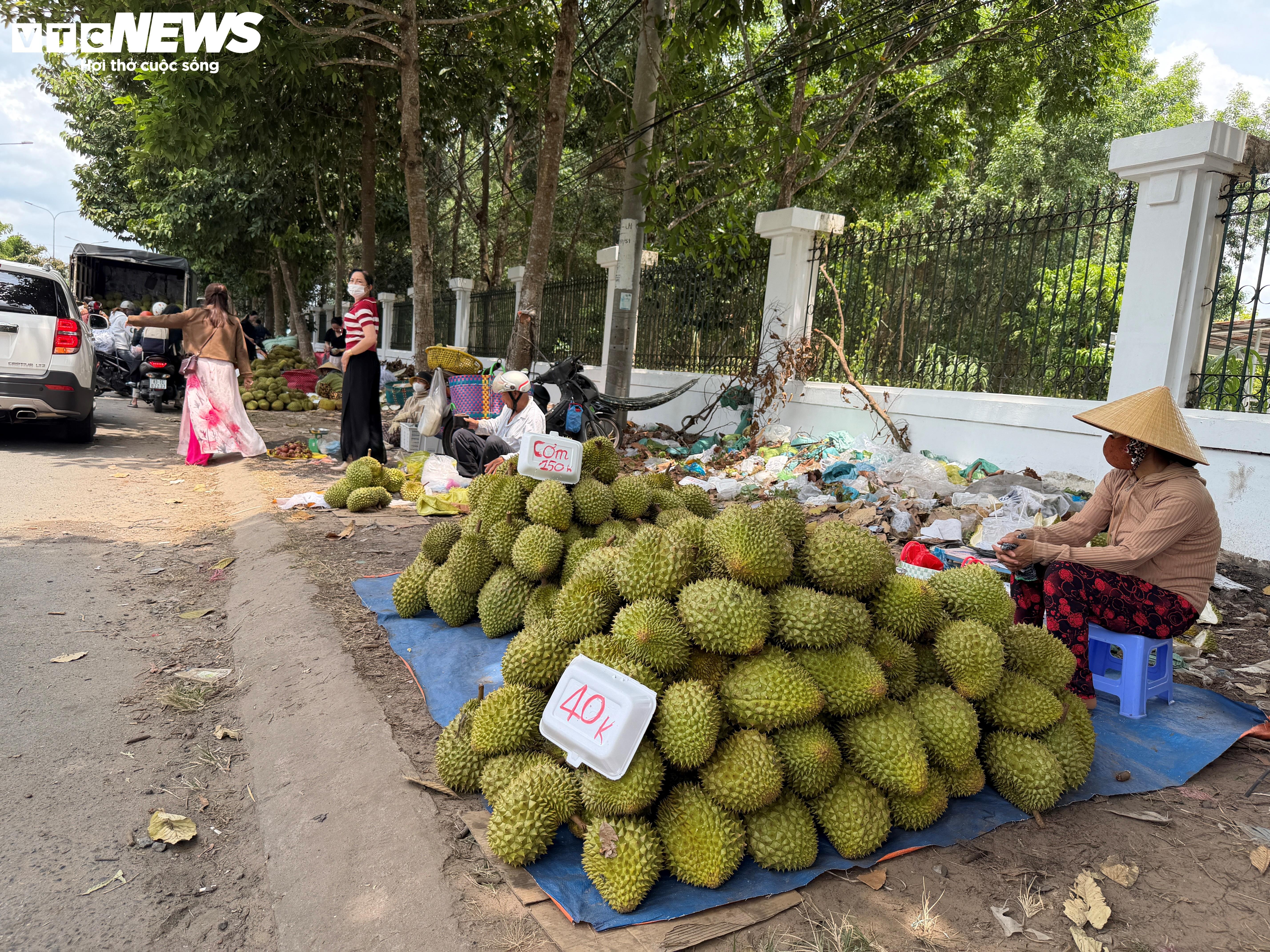Sau rieng anh 1