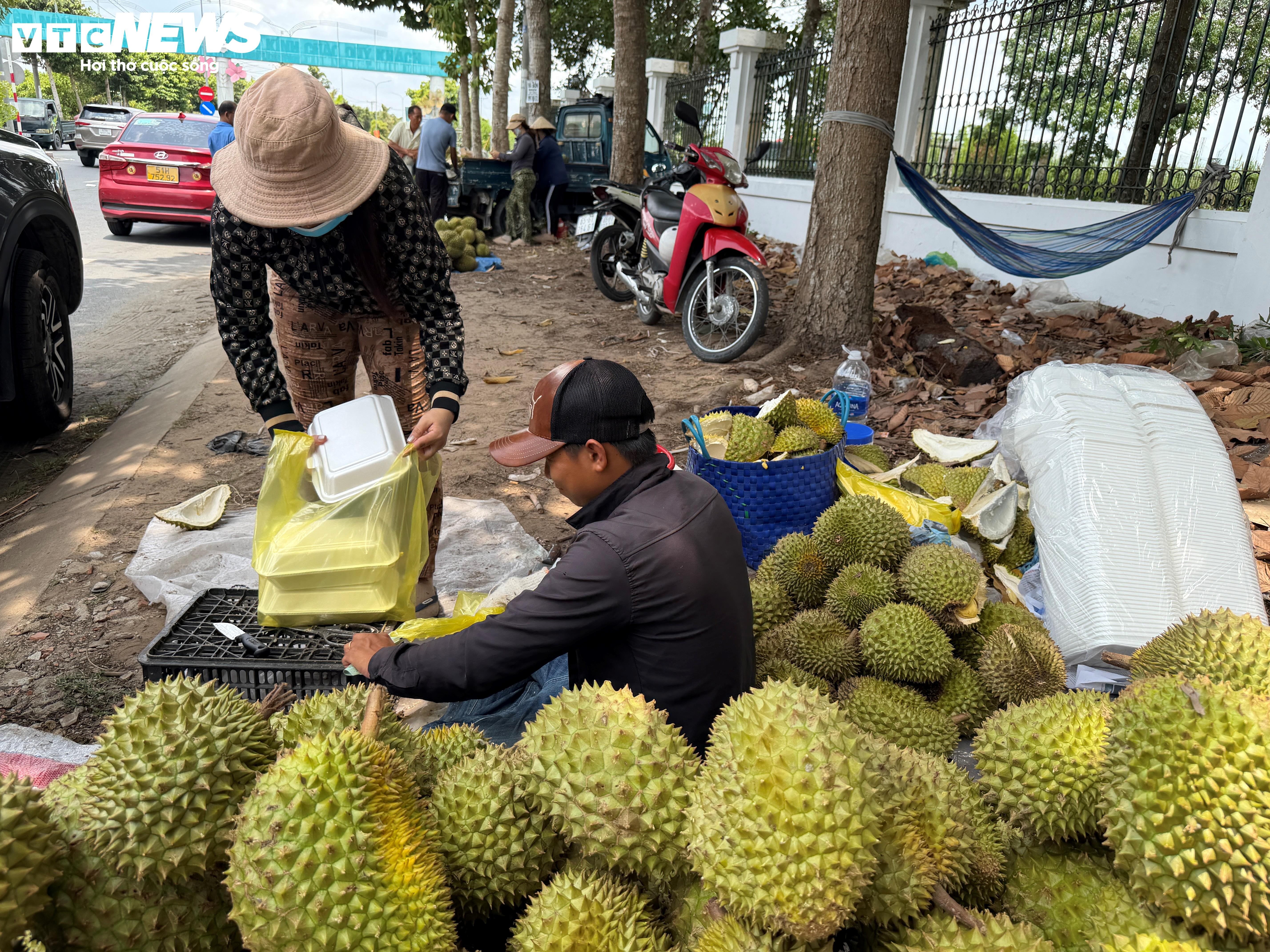 Sau rieng anh 9