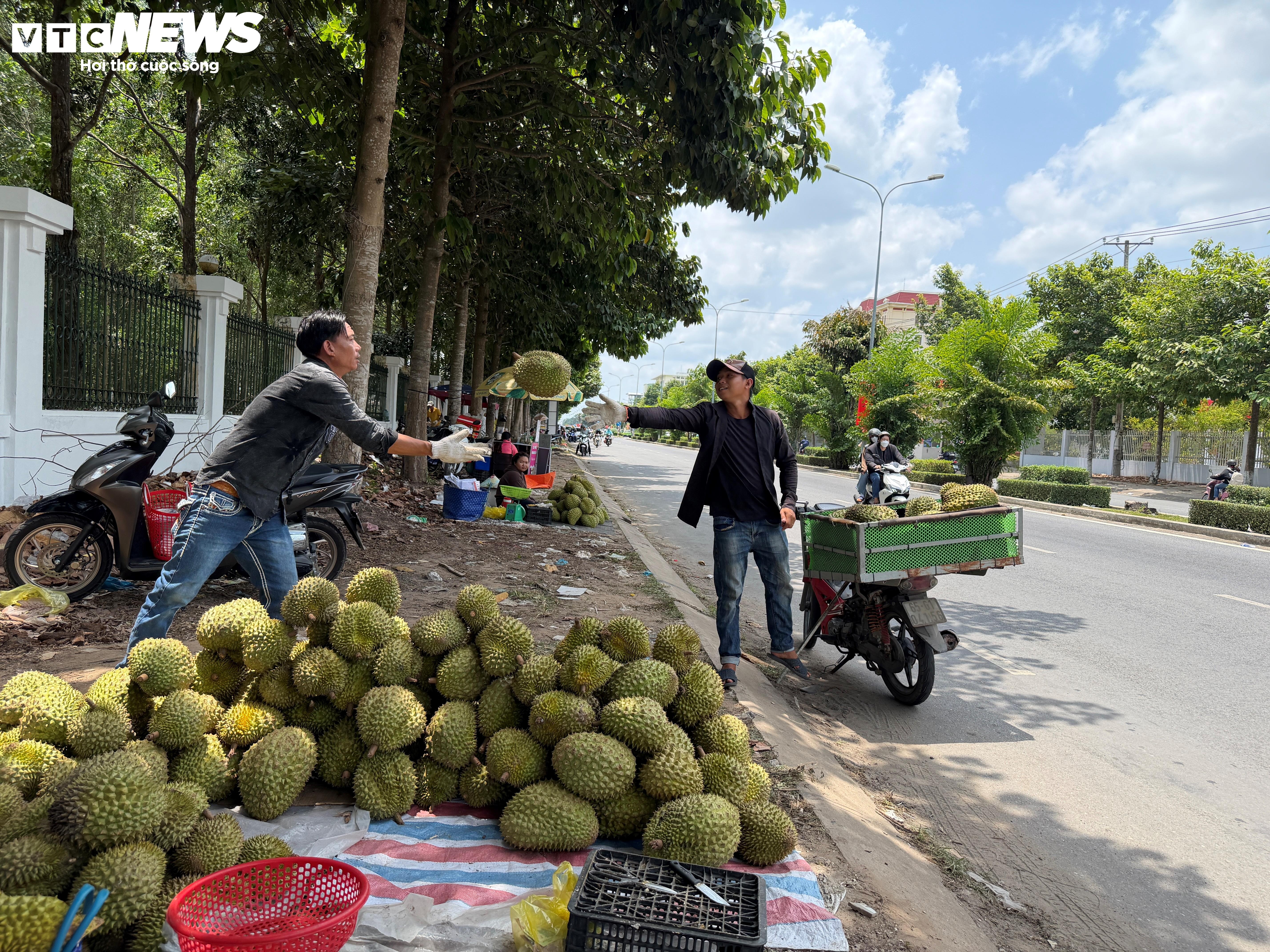 Sau rieng anh 8