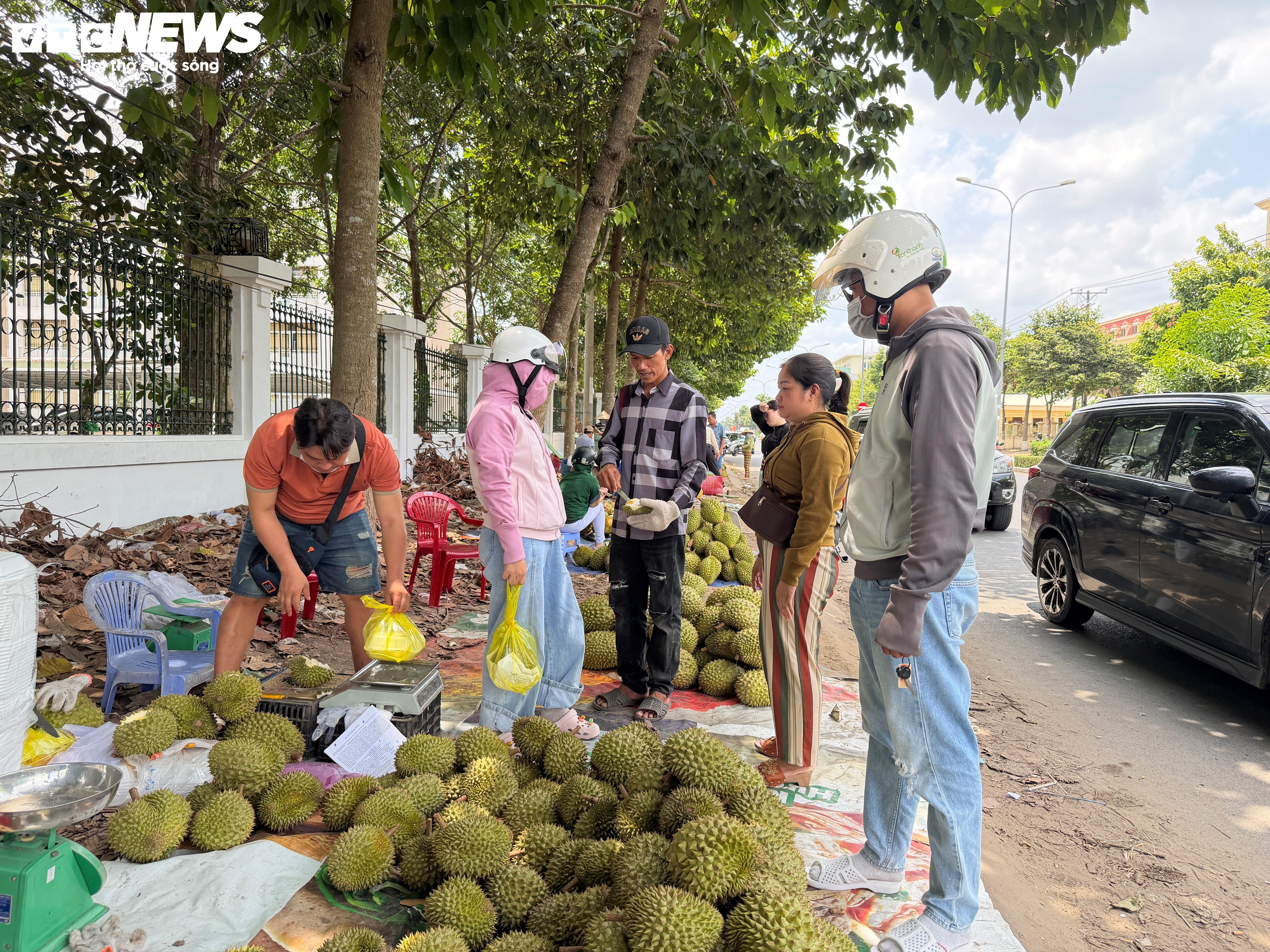 Sau rieng anh 17