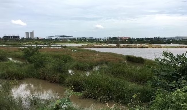 nha o thuong mai anh 3