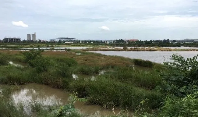 Hon 2.000 ha dat bi loai khoi danh sach thi diem lam nha o thuong mai hinh anh