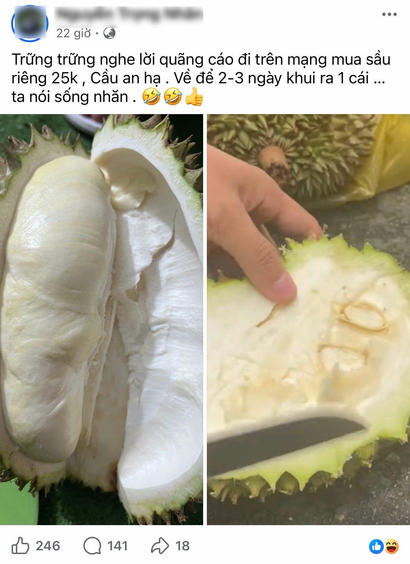 Sau rieng anh 2