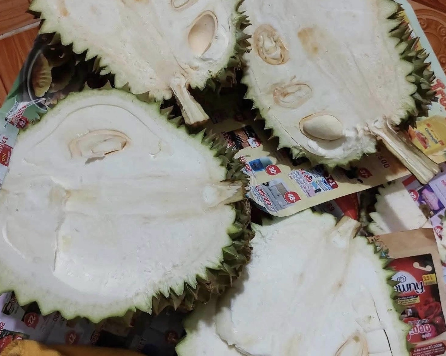 Sau rieng anh 1