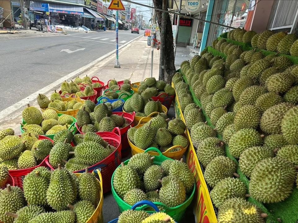 Sau rieng anh 3
