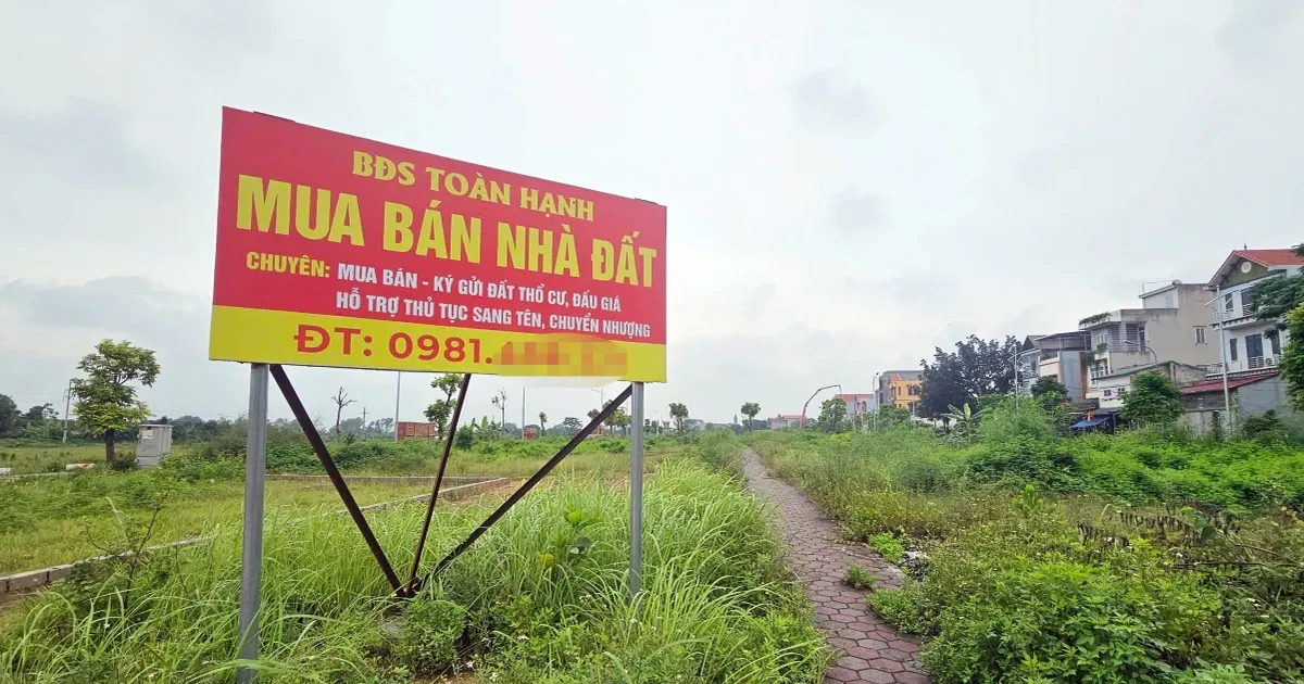 Nhu cau tim kiem bat dong san 'ha nhiet' hinh anh