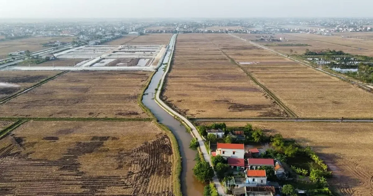 De xuat nang coc dau gia len 20%: Sap het thoi 'co' thoi gia dat hinh anh