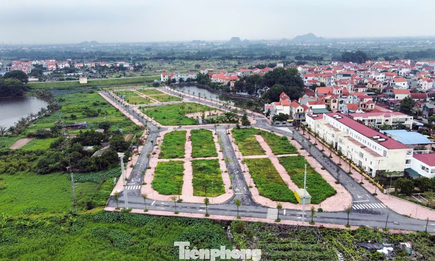 Dau gia dat anh 1