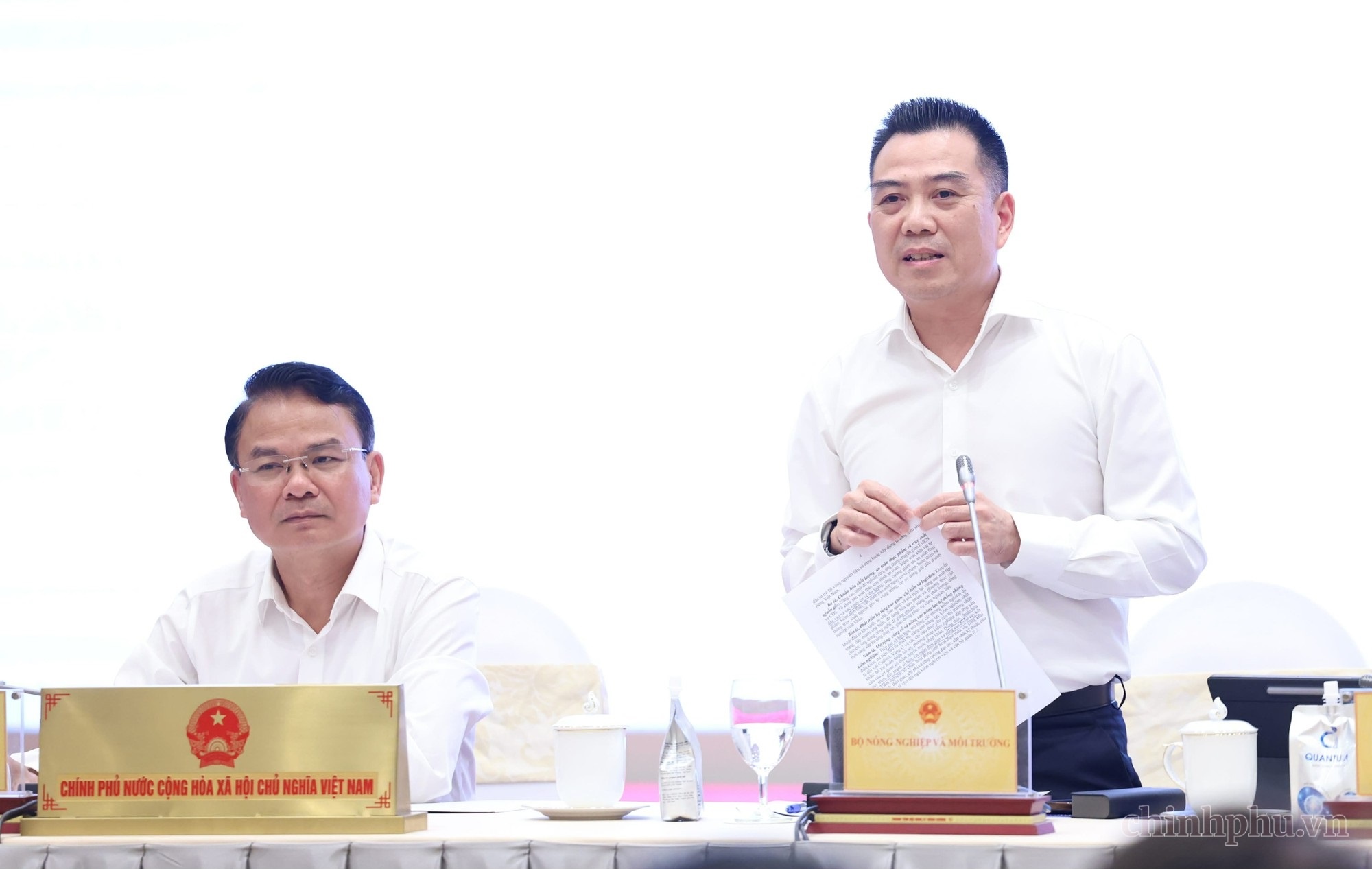 sầu ri&ecirc;ng ảnh 1