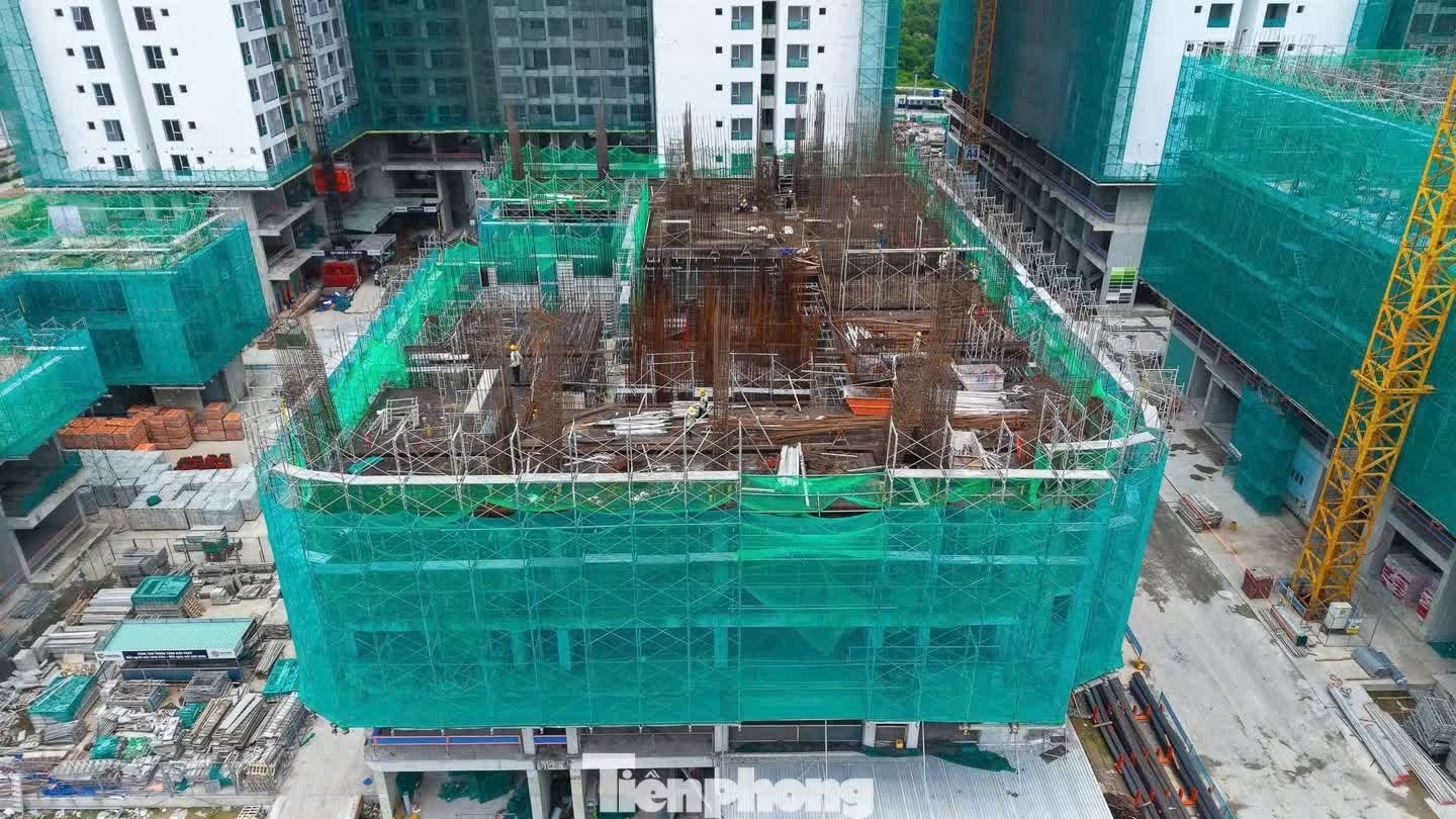 hợp đồng mua b&aacute;n  ảnh 2