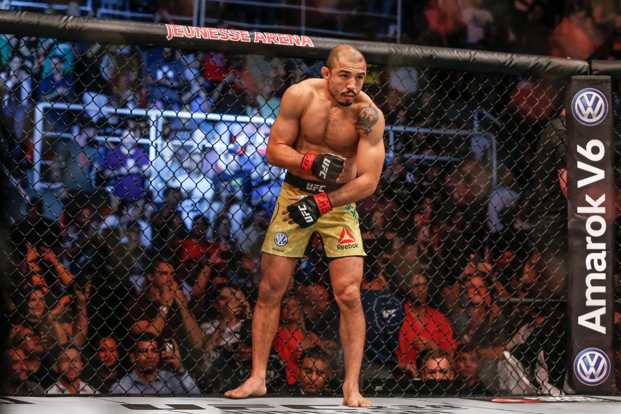 Jose Aldo anh 1