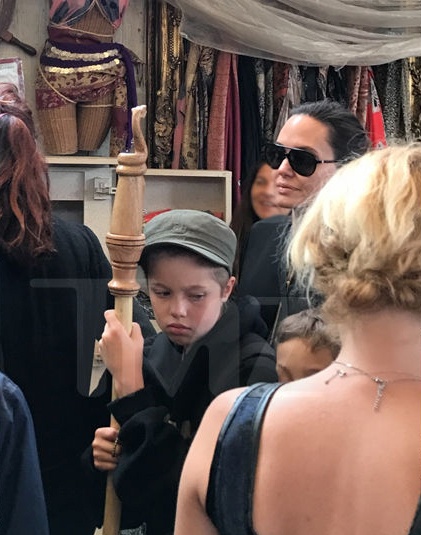 Angelina Jolie va cac con anh 4