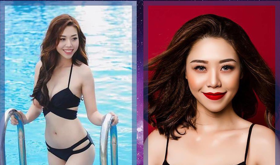 Lo dien cac ung vien Hoa hau Hoan vu Viet Nam 2017 hinh anh