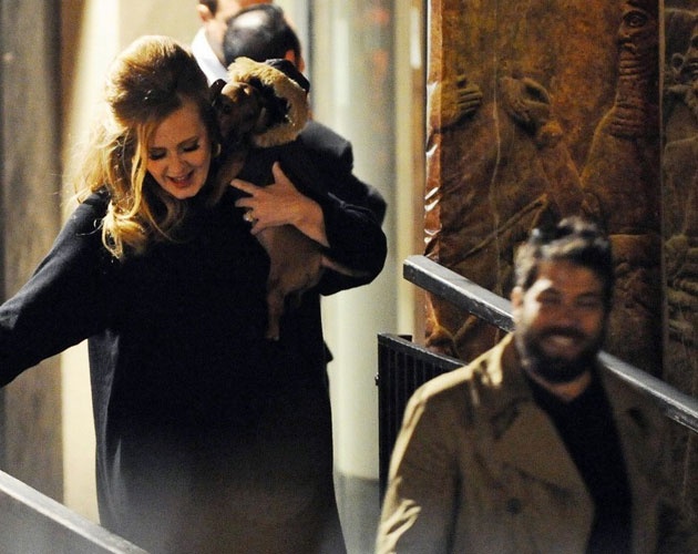 Adele có thể ngừng lưu diễn  ảnh 3 Adele co the ngung luu dien anh 3