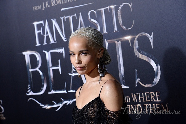 Fantastic Beasts 2 anh 4