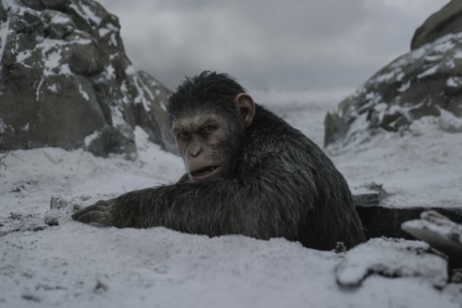 War for the Planet of the Apes đạo nhạc  ảnh 1 War for the Planet of the Apes dao nhac anh 1