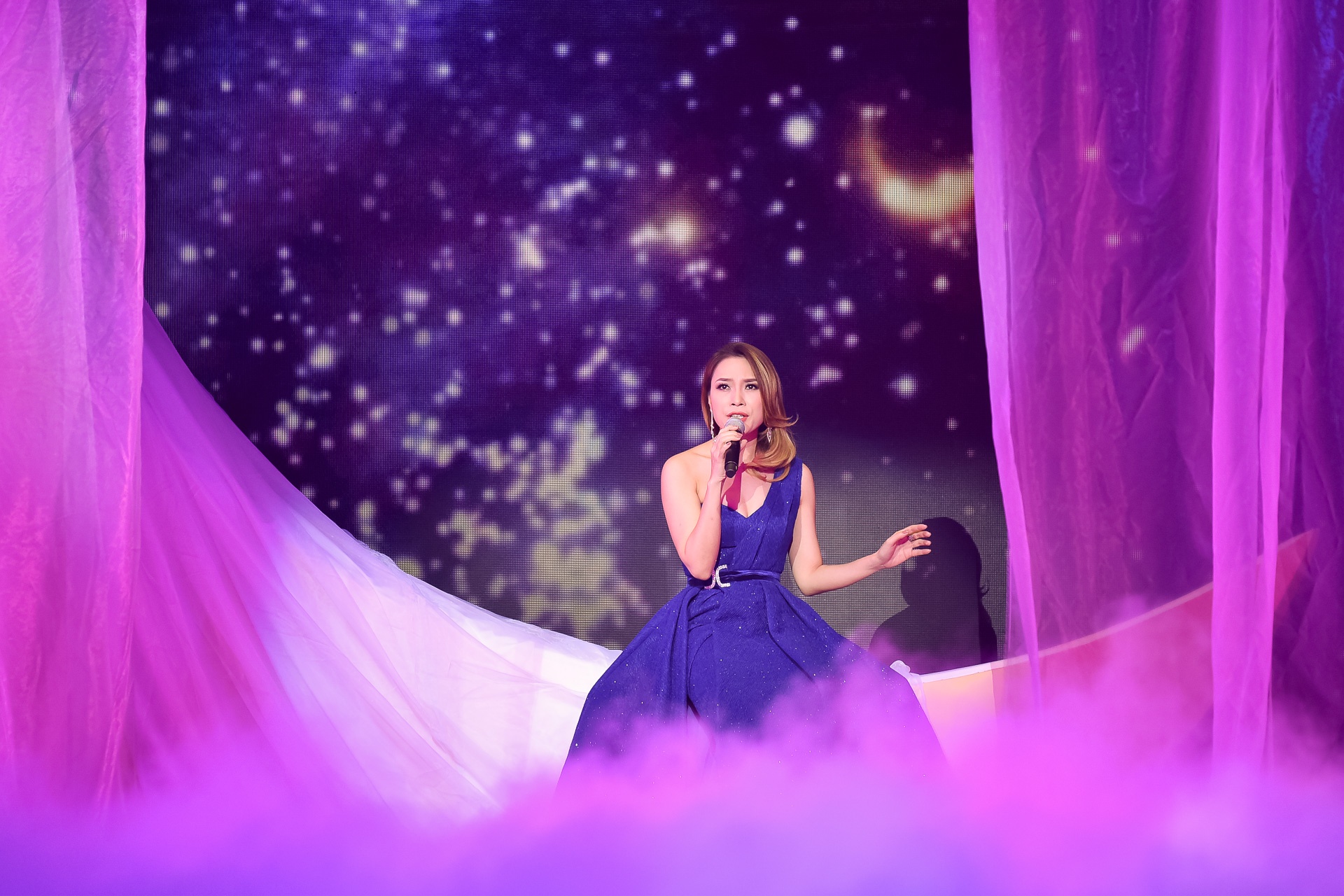 My Tam song ca voi Dam Vinh Hung anh 3