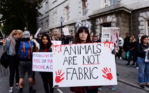 Bieu tinh o tuan le thoi trang London hinh anh