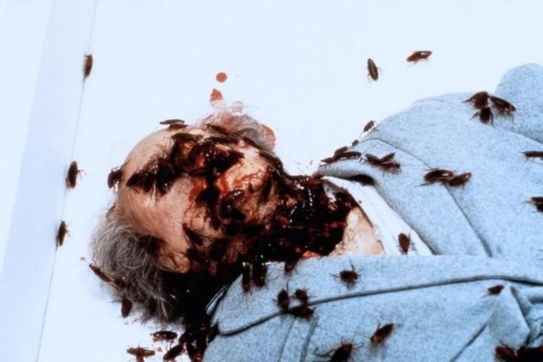 canh kinh di trong phim Stephen King anh 2